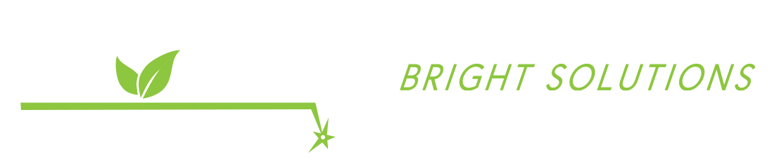 dvmlasercleaning.nl